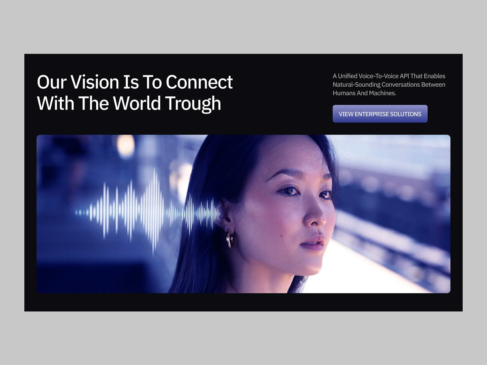 Voxentra, landing page design, view 2