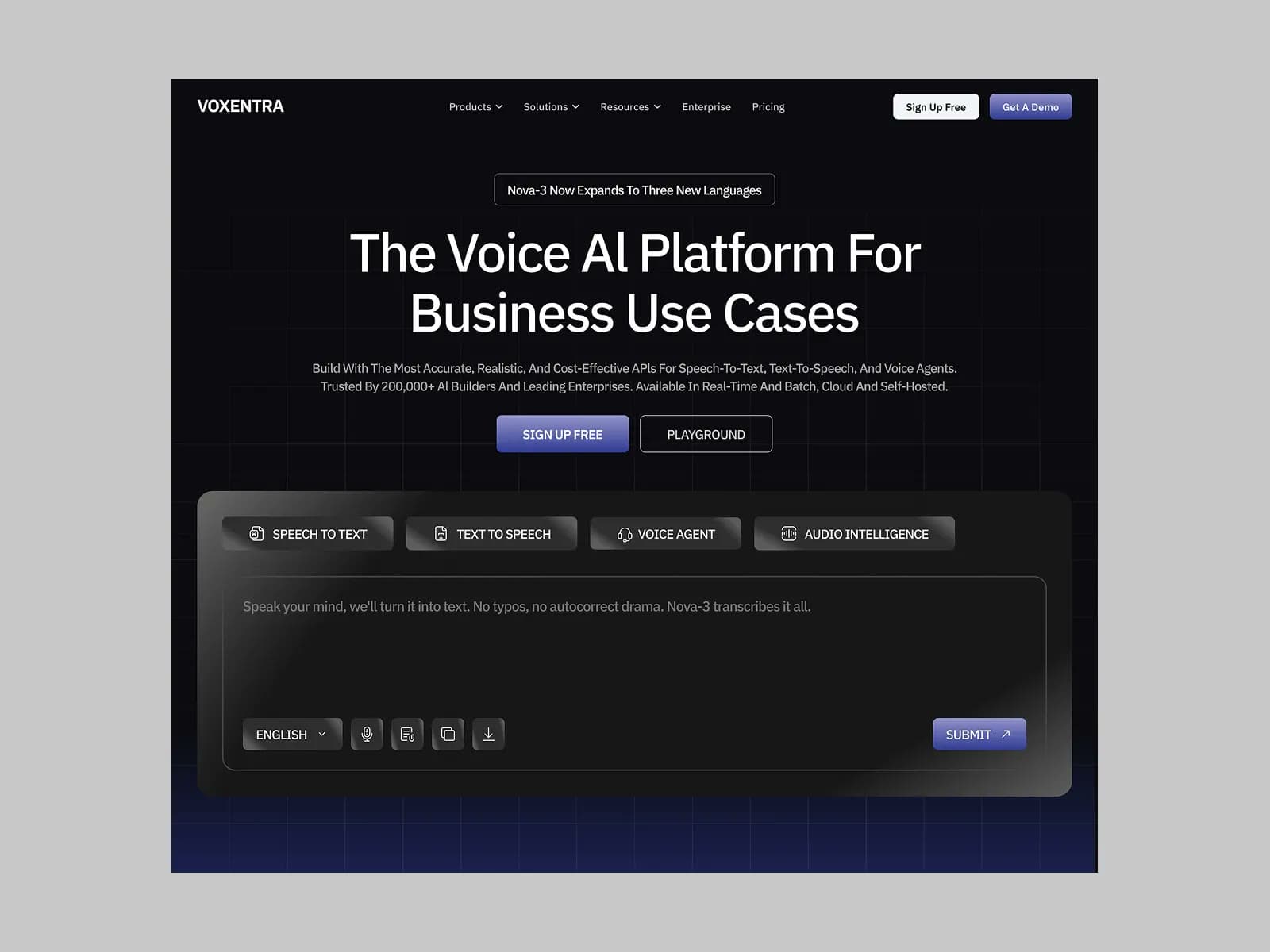 Voxentra, landing page design, view 4