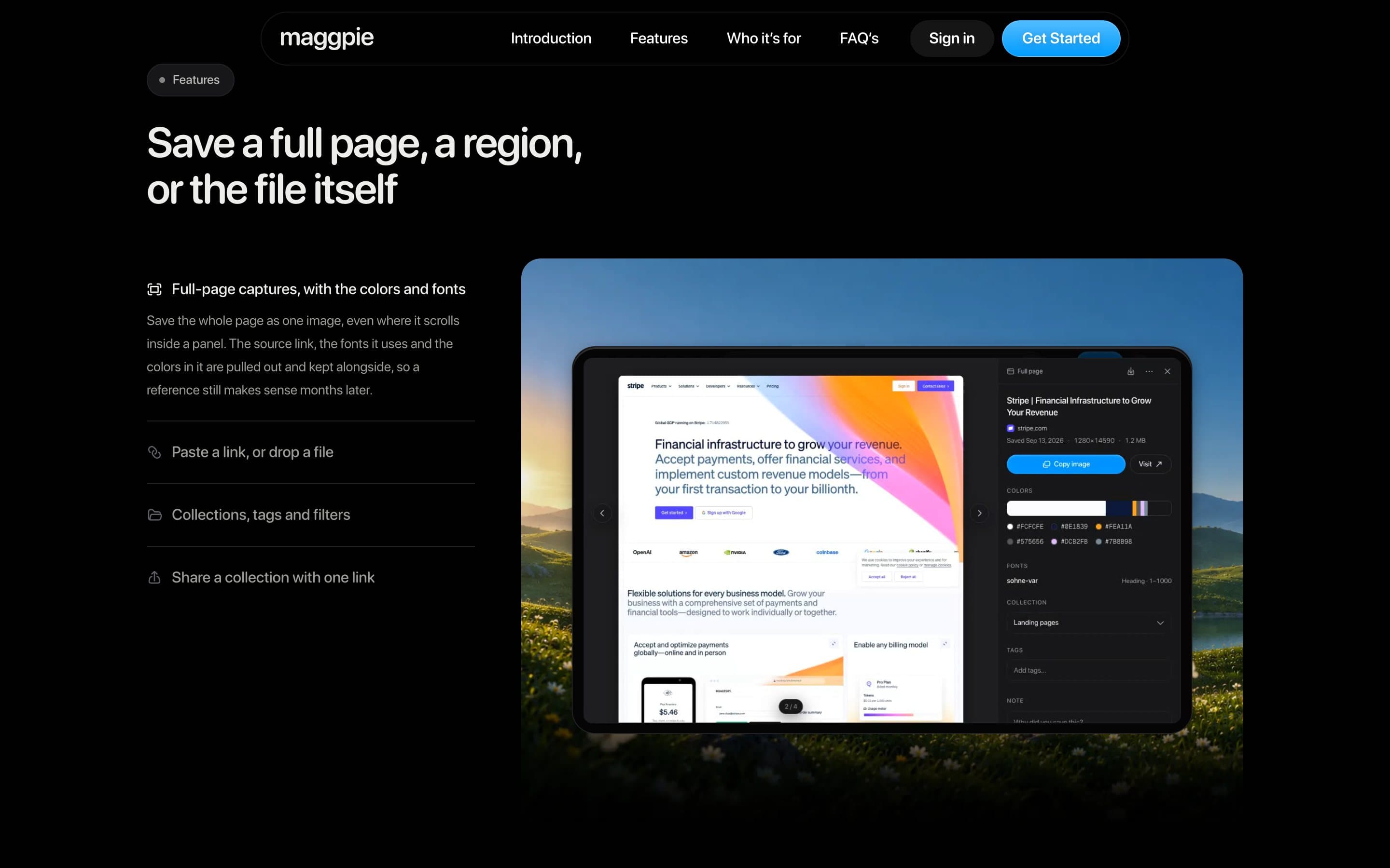 Maggpie feature section